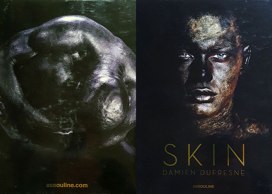 Livre Skin Damien Dufresne