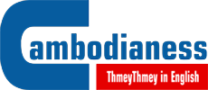 Logo Cambodianess