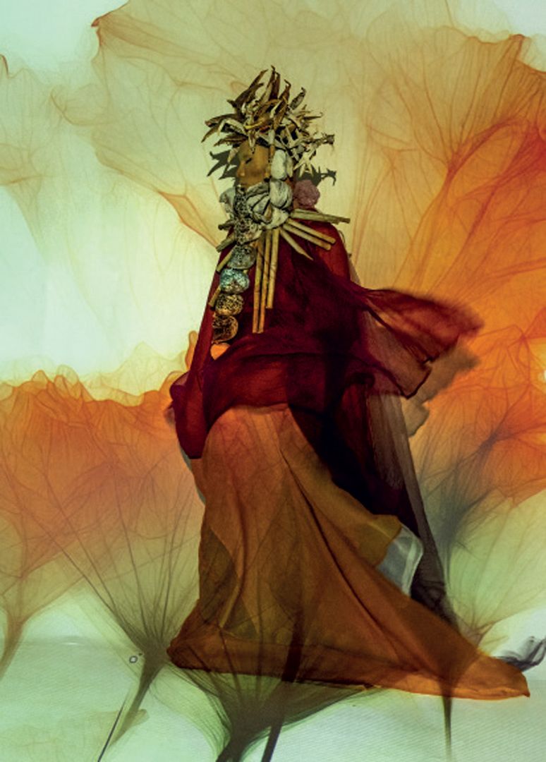 Catalog Four seasons in one Damien Dufresne - 4th couv