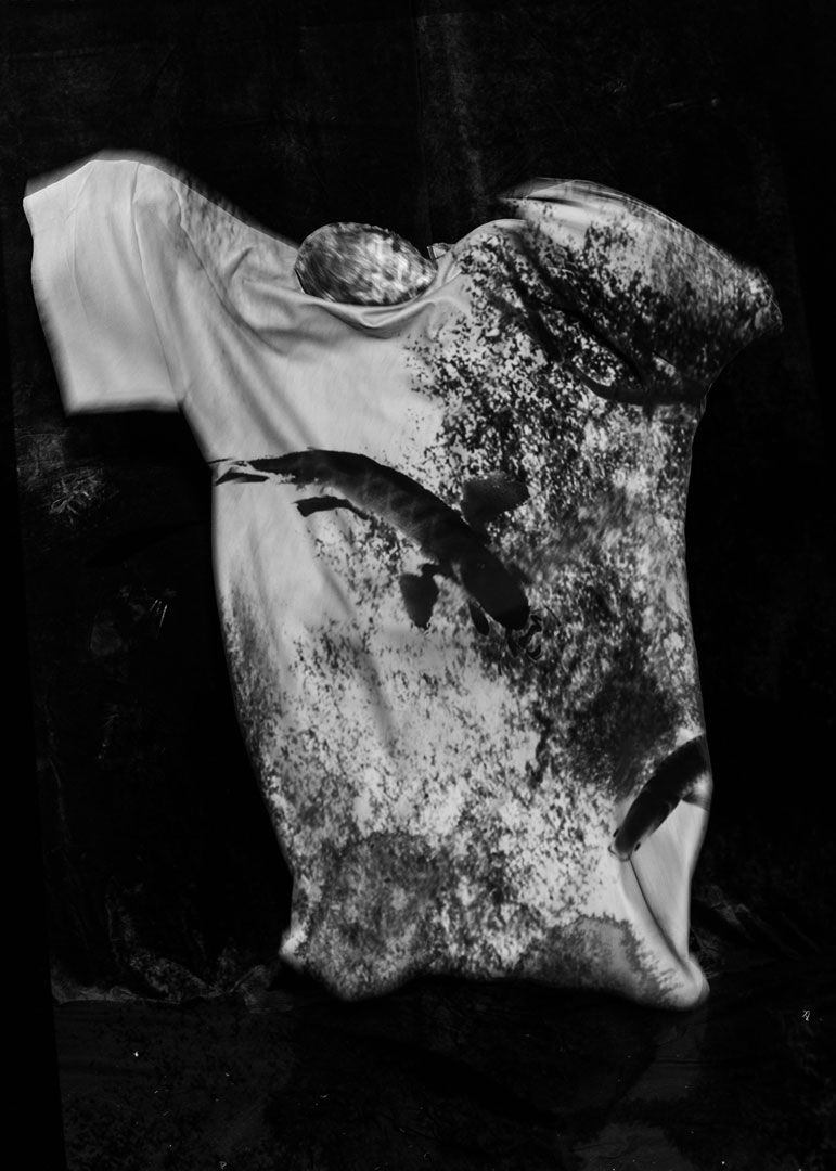 Dream 1 Damien Dufresne